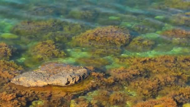 Hermoso paisaje marino. — Vídeo de stock