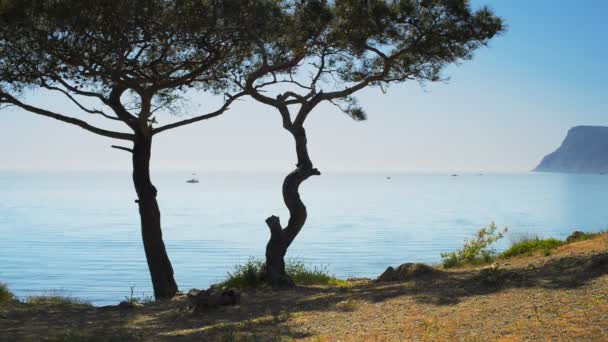 Paisaje de Crimea — Vídeos de Stock