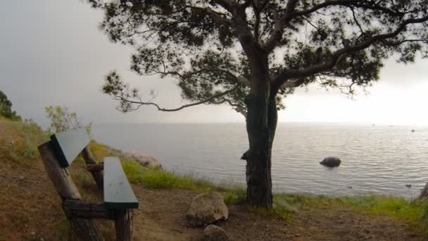 Båtar på havet i dimman — Stockvideo