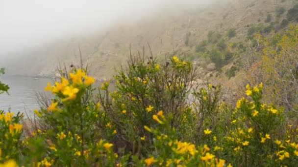 Playa oculta en las montañas en la niebla — Vídeo de stock