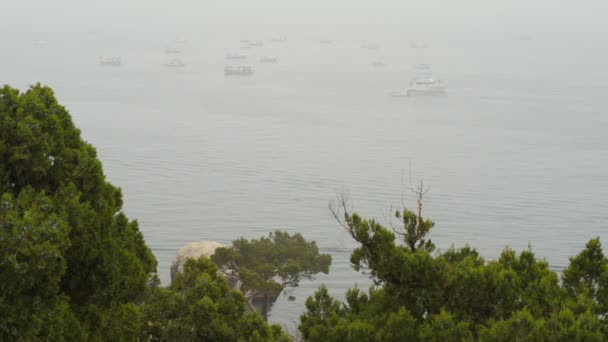 Barche sul mare nella nebbia — Video Stock