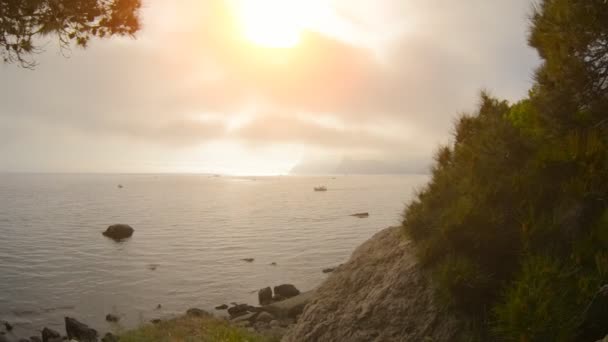 Beautiful sunset over the sea. Mountains and pine trees — Stock Video