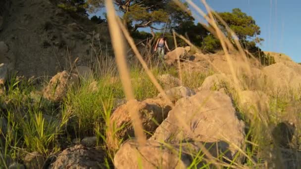 La touriste fille avec sac à dos voyage dans les montagnes — Video