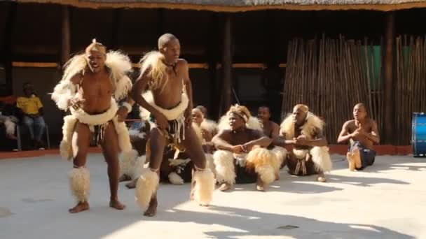 Danzas folclóricas de Botswana y Sudáfrica. Sudáfrica Johannesburgo 25 de mayo de 2012. 18: 00 — Vídeo de stock