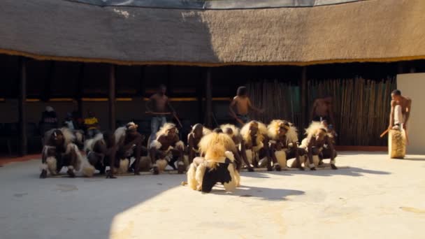 Χοροί από την Μποτσουάνα και τη Νότια Αφρική. Νότια Αφρική Γιοχάνεσμπουργκ 25 Μάιος 2012. 6 μ.μ. — Αρχείο Βίντεο