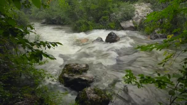 Río de montaña en la Crimea — Vídeo de stock