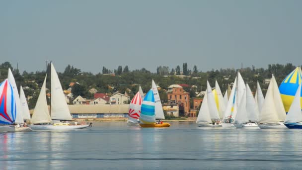 Nikolaev, ukraine - 28. juni 2013: große segelregatta gewidmet dem verfassungsgebenden tag ukraine, nikolaev 28. juni 2013. start um 11.00 Uhr — Stockvideo