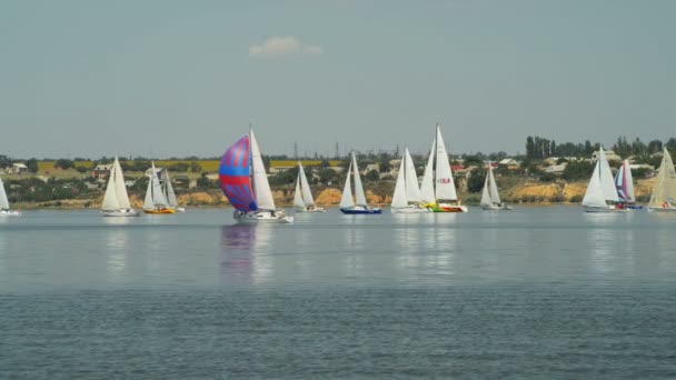 NIKOLAEV, UCRAINA - 28 GIUGNO 2013: Grande regata velica dedicata al Giorno della Costituzione Ucraina, Nikolaev 28 giugno 2013. Inizio ore 11.00 — Video Stock