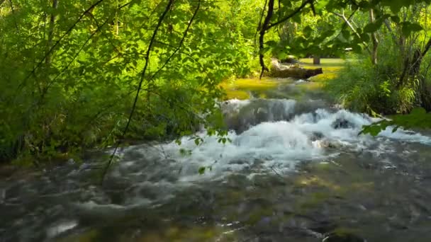 Rychlá řeka v horách Krym — Stock video