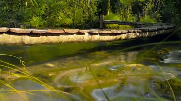 크리미아에서 강 다리 — 비디오