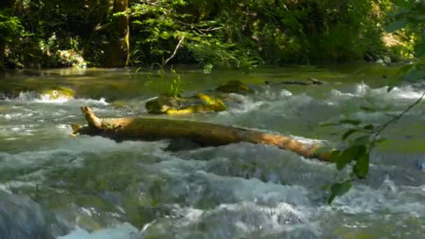Γρήγορη ποταμού στα βουνά της Κριμαίας — Αρχείο Βίντεο