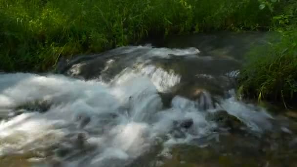 Γρήγορη ποταμού στα βουνά της Κριμαίας — Αρχείο Βίντεο