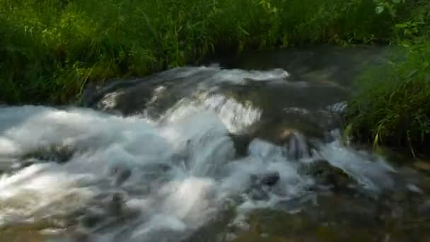 Schneller Fluss in den Bergen der Krim — Stockvideo