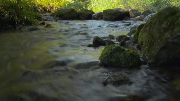 Rivière rapide en Crimée montagnes 