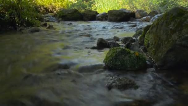 Snelle rivier in Krim bergen — Stockvideo