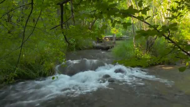 Schneller Fluss in den Bergen der Krim — Stockvideo