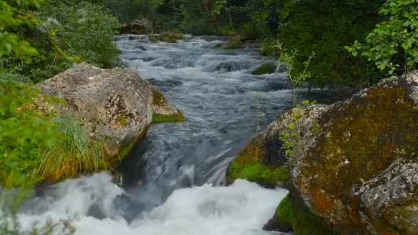 Fiume Crimea . — Video Stock