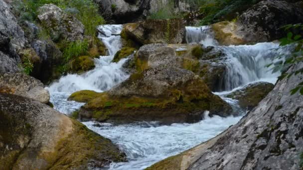 River in Crimea. — Stock Video