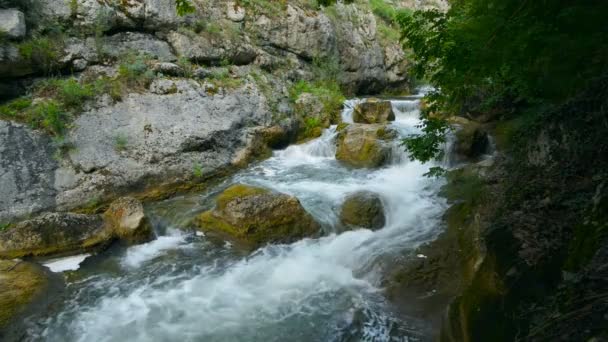 크리미아에 있는 강. — 비디오