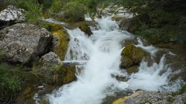 Řeka na Krymu. — Stock video