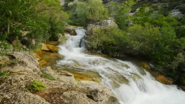 Vízesés, folyón, hegyek, természet. Crimea — Stock videók