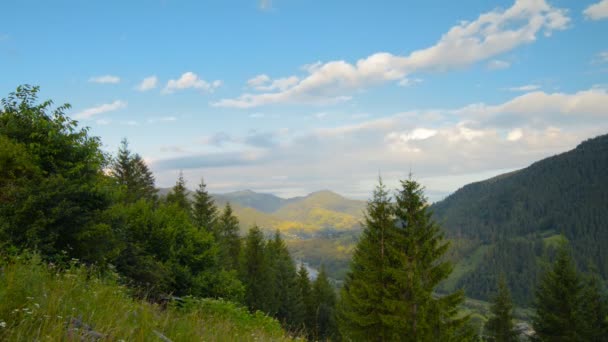 Wolken in den Karpaten — Stockvideo