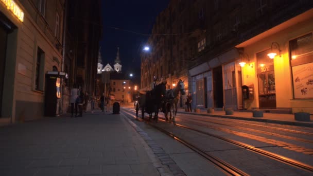 The carriage driving through the night Lviv — Stock Video