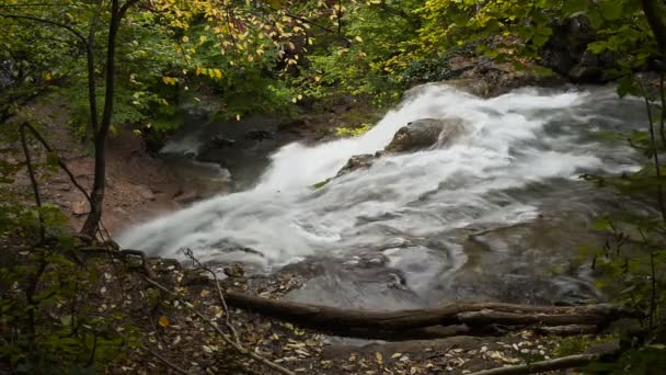Cachoeira, rio, montanhas, natureza — Vídeo de Stock