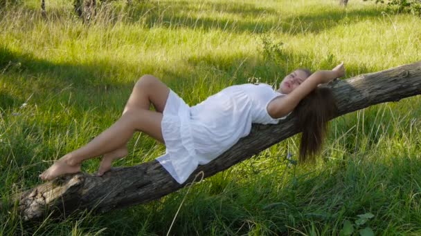 Chica posando en un árbol — Vídeo de stock