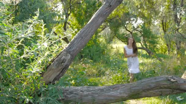 Girl gathers wild flowers and runs to the tree — Stock Video