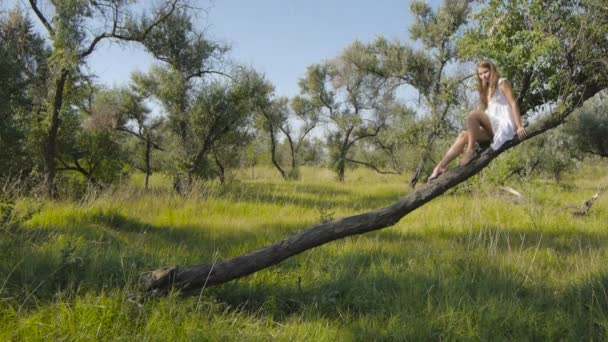 Meisje lopen op de boom — Stockvideo