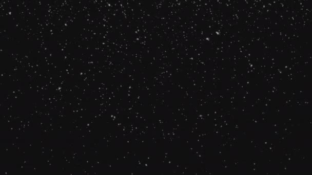 Падение Снега Прозрачном Фоне Анимация Предустановленной Клавиатуры — стоковое видео