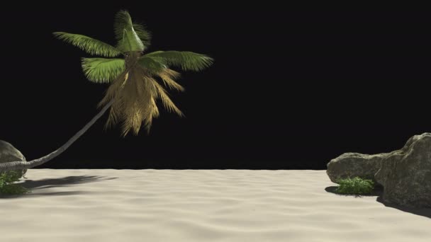 热带风景 有棕榈树的海滩和透明背景的石头 有阿尔法航道 — 图库视频影像