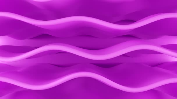 ピンク色の波は常に動いています — ストック動画