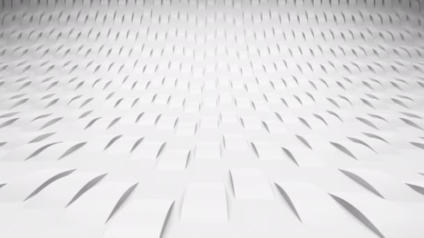 White Waves Stripes Move Distance — Stock Video