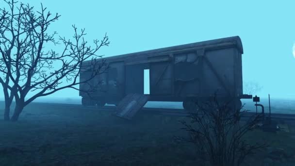 放棄された壊れた馬車は 鉄道のひどい霧の中に立っています — ストック動画