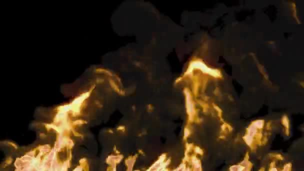 Bonfire Burning Fire Particles Fiery Coals — Stock video