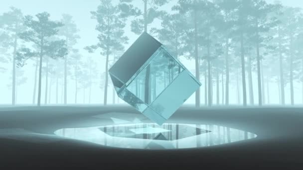 Абстракция Вращающийся Прозрачный Куб Сосновом Лесу — стоковое видео