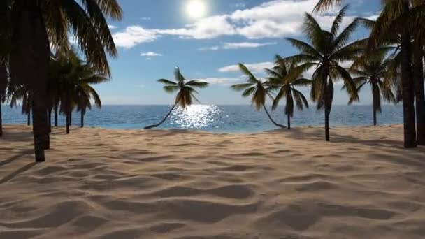 Viaggia Isola Tropicale Con Palme Mare Spiaggia Paesaggistica Con Palme — Video Stock