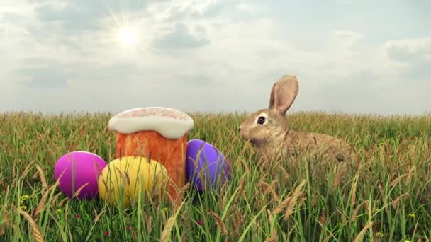 Conejo Pascua Cerca Huevos Pan Pascua Césped Fiesta Pascua Resurrección — Vídeos de Stock