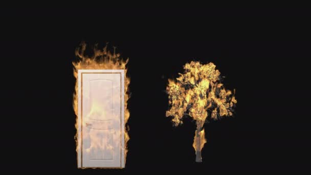 Burning Door Tree Transparent Background — Stock Video