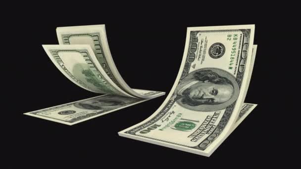 Two Packs Dollar Currency Transparent Background — Stockvideo