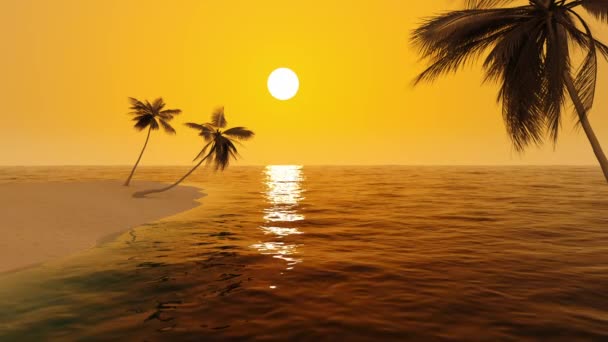Puesta Sol Naranja Una Playa Tropical Salvaje Con Palmeras — Vídeo de stock