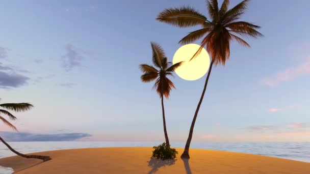 热带岛屿 海中有棕榈树 — 图库视频影像