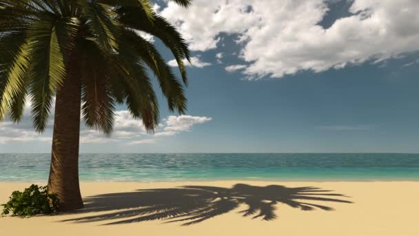 Tropical Beach Sea Palm Tree — Vídeos de Stock
