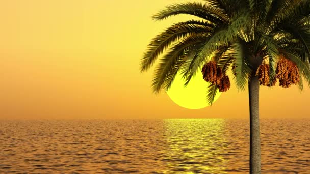 Sunset Sea Blooming Palm Tree — Stockvideo