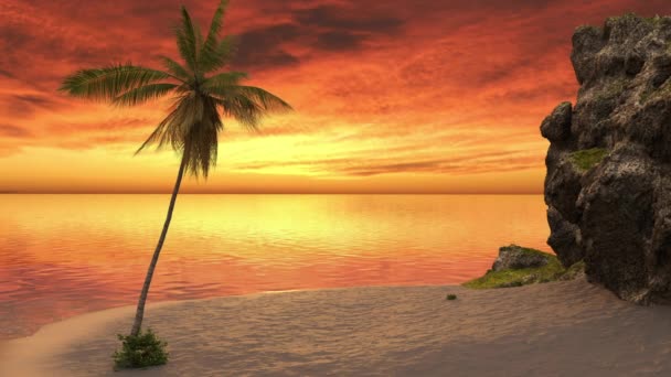 Viaje Playa Con Una Palmera Una Roca Atardecer Junto Mar — Vídeos de Stock