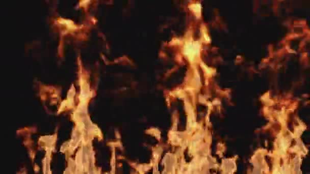 Μια Σειρά Από Φλογερές Φλόγες Που Καίγονται Ένα Διαφανές Φόντο — Αρχείο Βίντεο