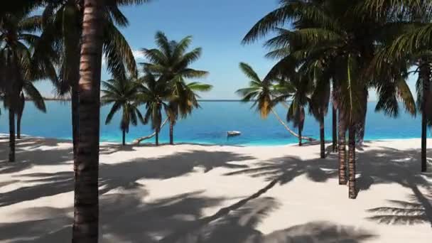 Travel Plane Sea Palm Trees Beach — Stock Video