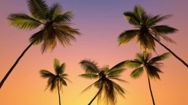 Tropik bölgelere palmiye ağaçları ve gün batımında denizde tatil..